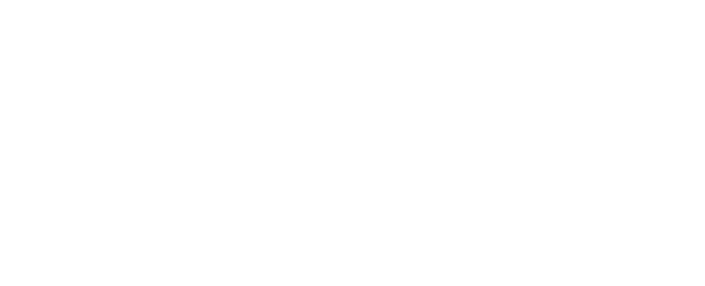 Raythink Cameras